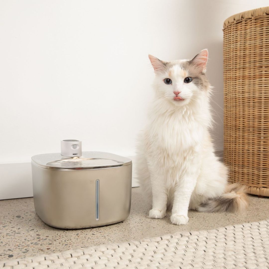 KattBrunn – Tyst och trådlös fontän för friskt vatten
