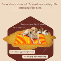 VärmPäls – Den varma liggplatsen din hund förtjänar